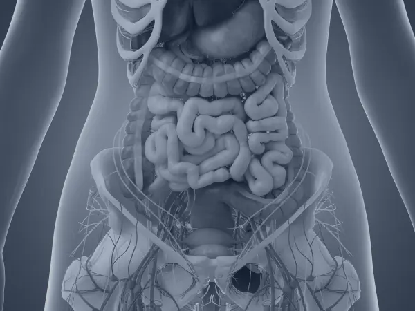 Abdominal transplantation